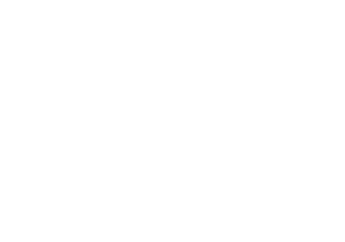 logo_blanc